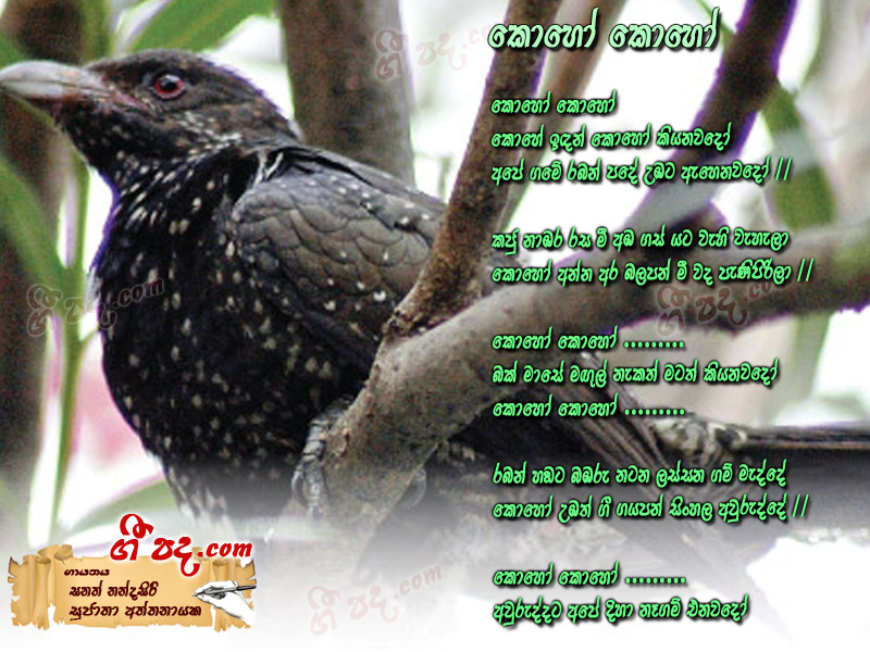 Download Koho Koho Sanath Nandasiri lyrics