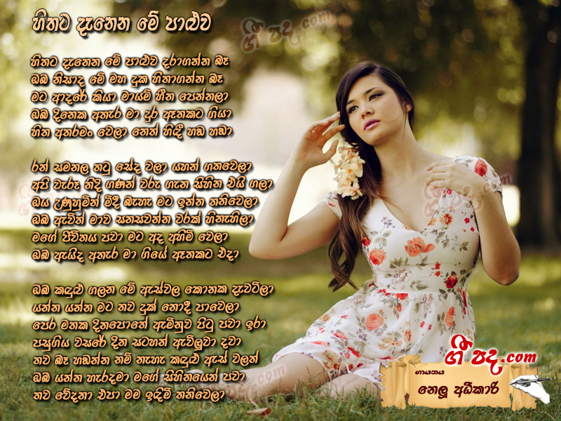 Download Hithata Denena Me Paluwa Nelu Adhikari lyrics