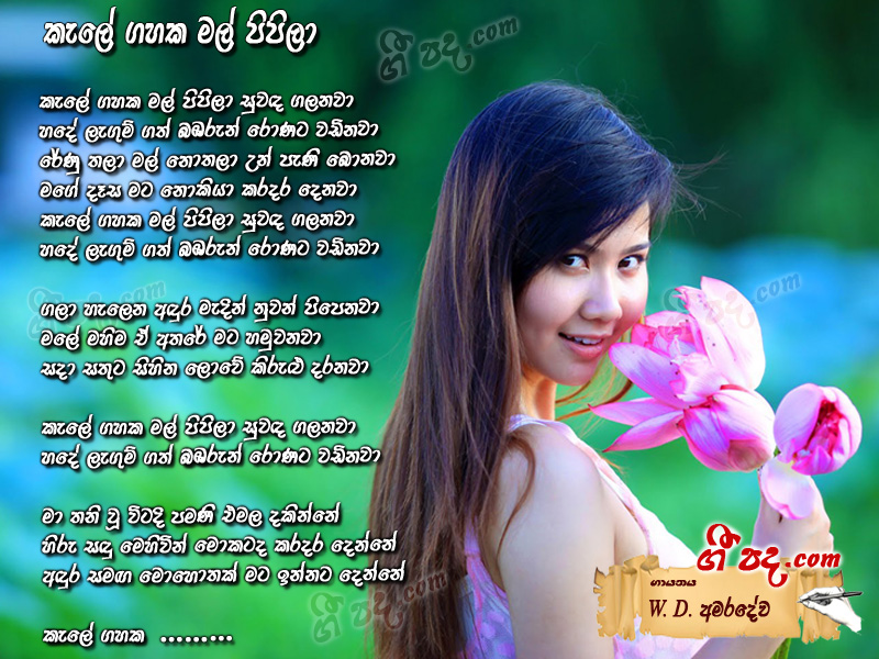 Download Kele Gahaka Mal Pipila W D Amaradewa lyrics