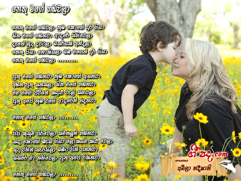 Download Nethu Mage Hadawala Amila Nadeeshani lyrics