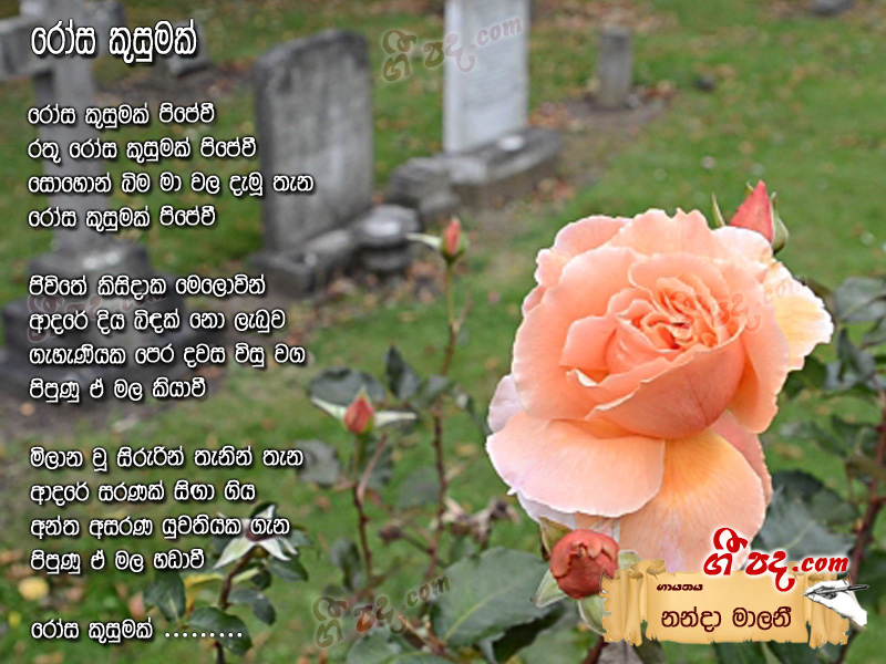 Download Rosa Kusumak Nanda Malani lyrics