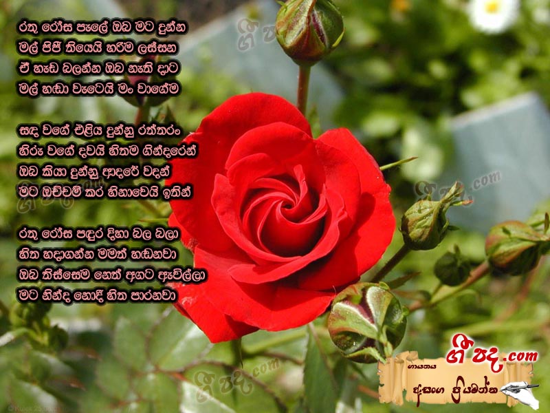 Download Rathu Rosa Pale Asanka Priyamantha lyrics