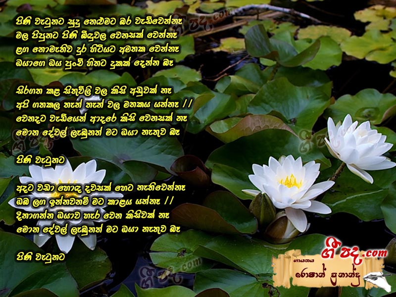 Pini Watunata - Roshan Fernando | Sinhala Song Lyrics, English Song ...