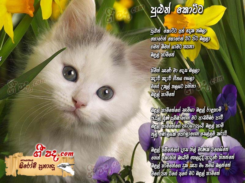 Download Pulun Kotte Shiromi Fernendo lyrics