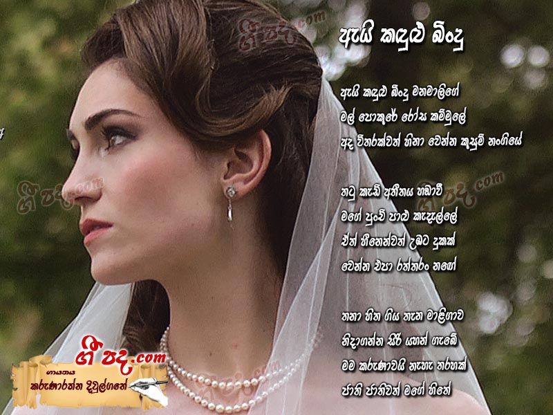 Download Ei Kadulu Bindu Karunarathna Diulgane lyrics