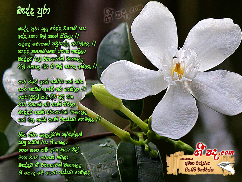 Download Bedda Pura Amitha Wedisinghe lyrics