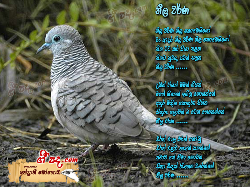 Download Neela Kobeiyo Indrani Bogoda lyrics