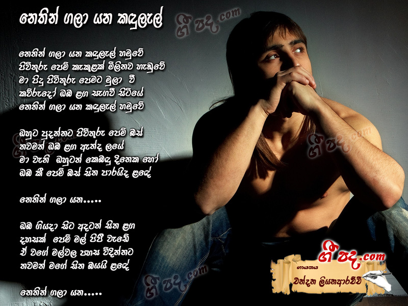 Download Nethin Gala Yana Chandana Liyanarachchi lyrics