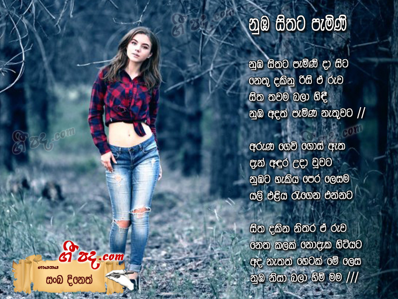 Download Nuba Sithata Pemini Da Sanka Dineth lyrics